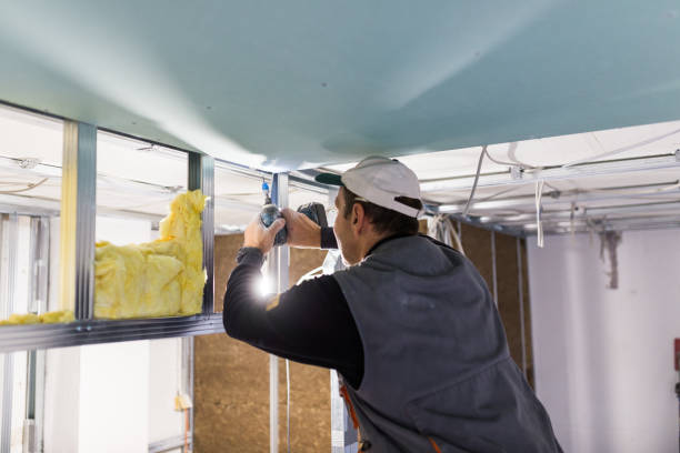 Types of Insulation We Offer in Meadowbrook, CA
